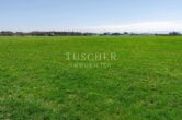Ansicht (1) - Interessante landwirtschaftliche Fläche!