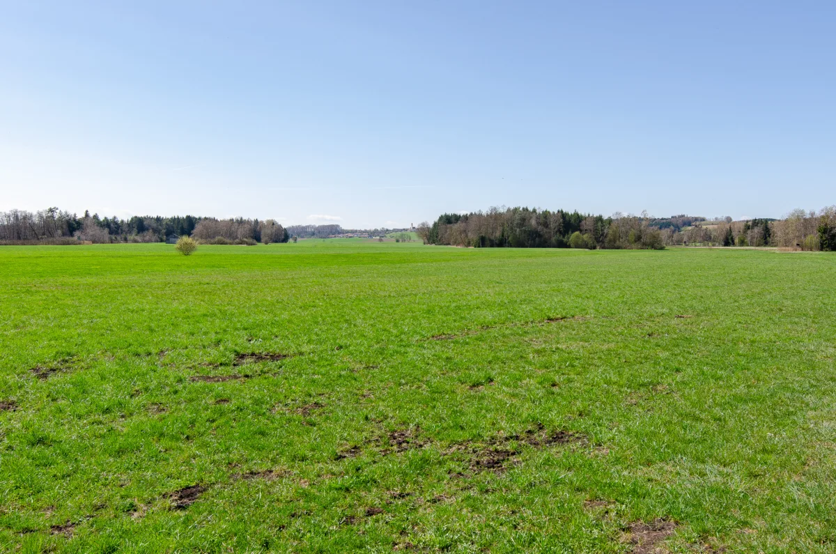 Ansicht (4)