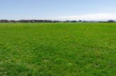Ansicht (2) - Interessante landwirtschaftliche Fläche!