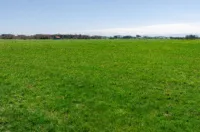 Ansicht (1)
