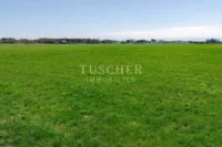 Ansicht (1)