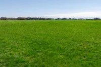 Ansicht (1)