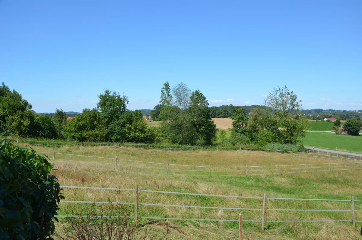 Blick auf die Koppel (Nordseite)