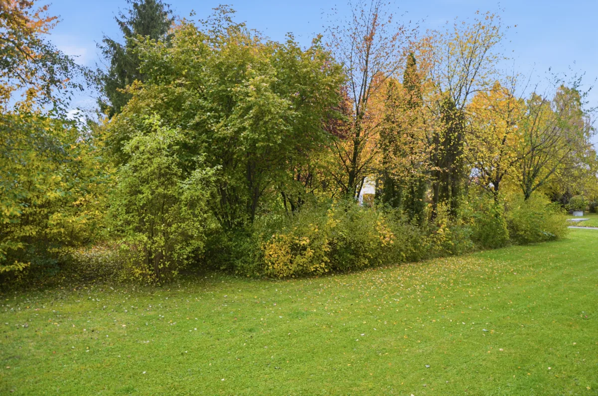 Blick vom Westbalkon